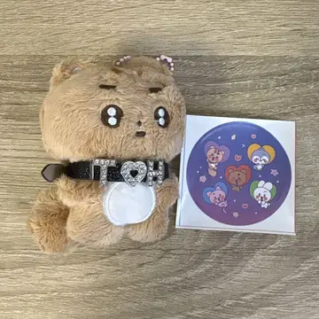 txt 포바투 태현