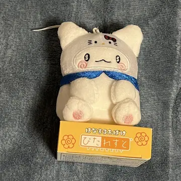 하나마루 유령 피타레스토 키티