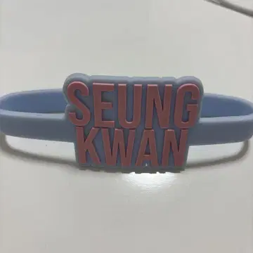 SEVENTEEN 세부치 성광 응원봉 액세서리