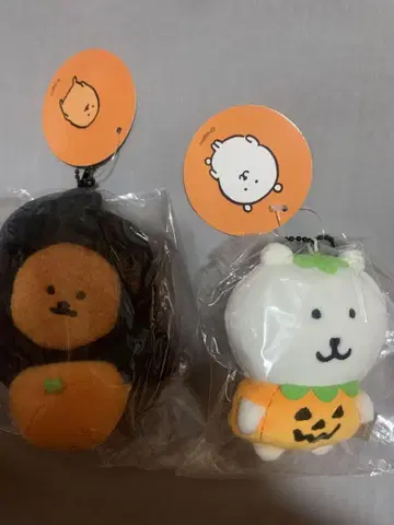 나가노의 곰 모글라 고로케 분장하자! 마스코트 할로윈