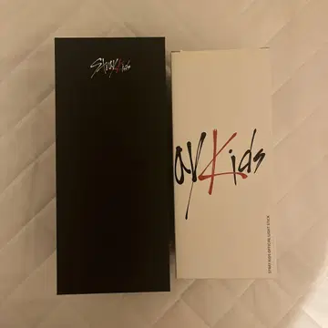 Stray Kids 응원봉 세트