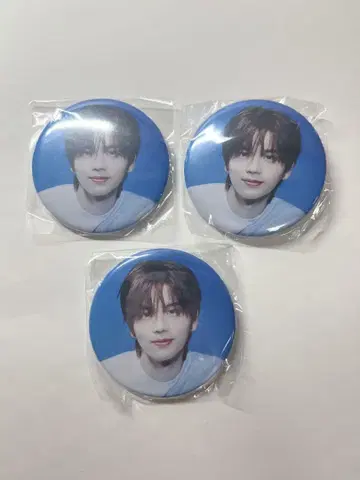 tws 캔뱃지 캔 배지 시뉴 투어 캡슐 토이