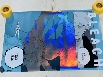 BLEACH 메탈릭 포스터 컬렉션 히즈카야 토시로