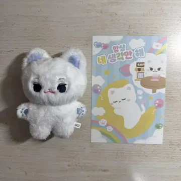 EVNNE 박한빈 봉제 인형