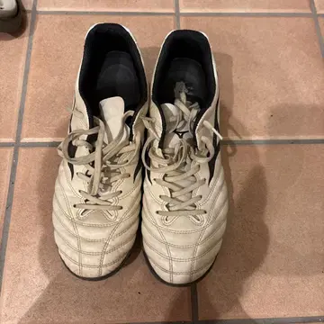 Mizuno 모나르시다 Neo 축구 트레이닝 슈즈