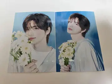 TWS POPUP 선행 판매 PRINTED PHOTO 시뉴 세트