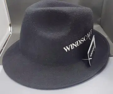 가면라이더 더블 WINDSCALE 블랙 햇 사이즈 58cm 왼쪽 쇼타로