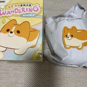 [내일 발송] GONG