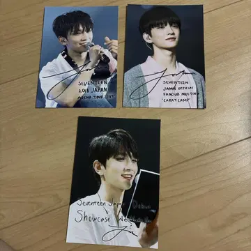 SEVENTEEN 세부치 조슈아 브로마이드 인터넷 프린트