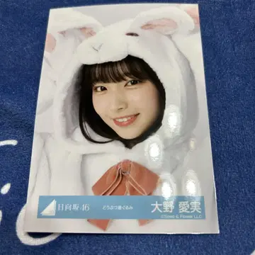 오노 마나미 요리 동물 인형옷