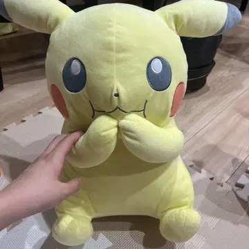 포켓몬 제일복권