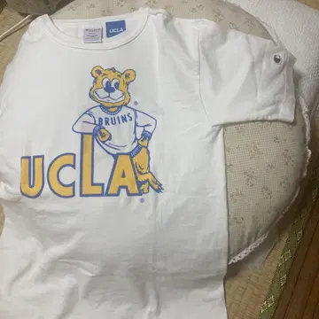 챔피온 UCLA 브루인스 티셔츠 S 사이즈