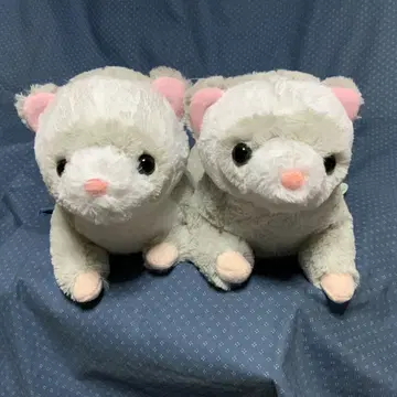 쿠타리 페렛