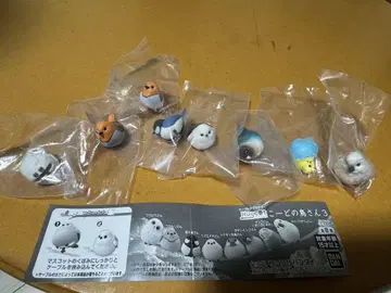 코도노도리 3 8마리 세트