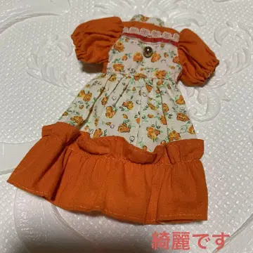 2대 리카짱 아웃핏 당시의 물건
