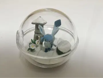 테라리움 컬렉션 그레이시아