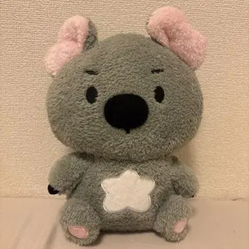 EVNNE EVNNIZ 윤소 코우니 봉제 인형