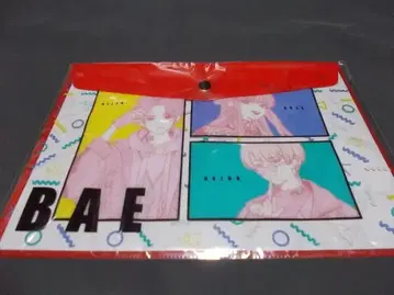 파라라이 소프트 케이스 BAE 베이  아렌 안