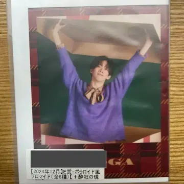 초특급  료가키라리 E상 폴로라이드풍 브로마이드