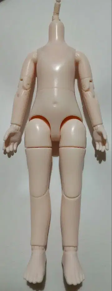 인형 바디 1/6