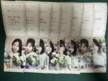 nogi 6기생 묶음 판매