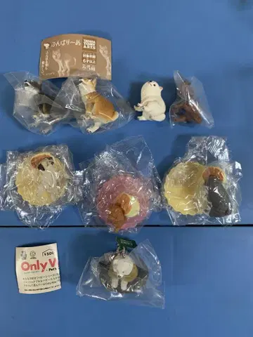훈마리누 시바견 외 묶음 판매