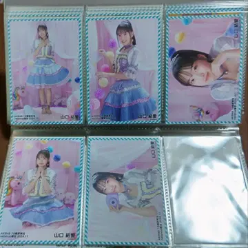 AKB48 야마구치 유아이 브로마이드 netshop 한정판 2024.11