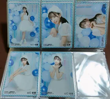 AKB48 야마구치 유아이 브로마이드 netshop 한정판 2024.12