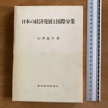 일본의 경제 발전과 국제 분업