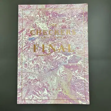 체커스 마지막 투어 최종 공연