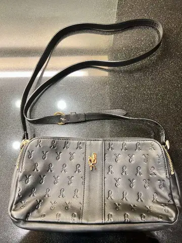 로베르타 데일리 미니백 블랙
