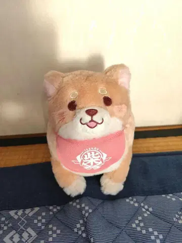 충견 모치시바 봉제 인형 중
