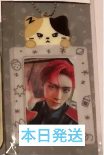 zb1 리니니 rinini 트레이딩 카드 홀더 POPUP