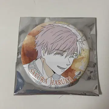 WIND BREAKER TSUTAYA 원화 캔뱃지 벚꽃 하야