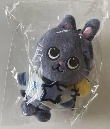 RIIZE 원빈 토냥덕 LITTLE RIIZE KEYRING