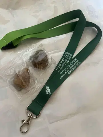 엑스포 사우디아라비아 스트랩 데이트