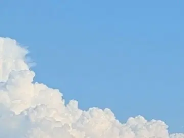 모범 예