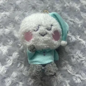 TREASURE TRUZ yochi 요치 요시 키링