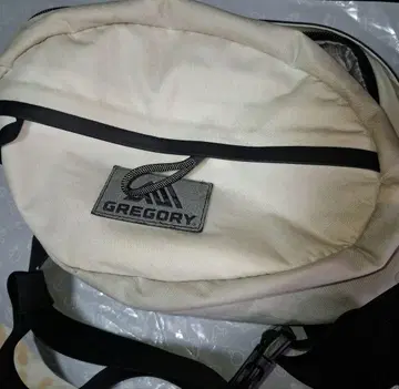 지금만 가격 그레고리 사코슈