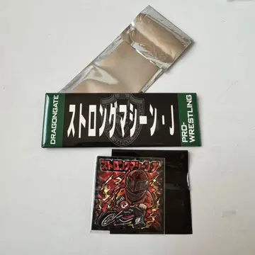 드래곤 게이트 스트롱 머신 J 선수