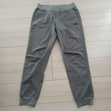 THE NORTH FACE 트레이닝 리브 팬츠 조거 이지 L