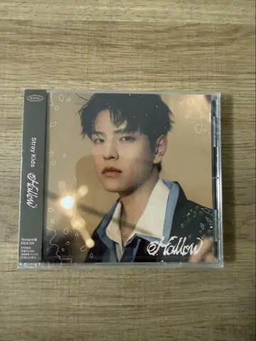 Stray Kids Fallow CD