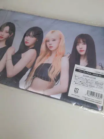 aespa PARALLELLINE 도쿄 돔 슬로건 타월