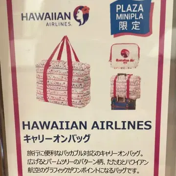 HAWAIIAN AIRLINES 캐리 백