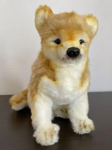 HANSA 한사 시바견 강아지 시바견 봉제 인형 리얼 입상 강아지 개