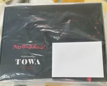 슬로우 데미지 토와 피규어