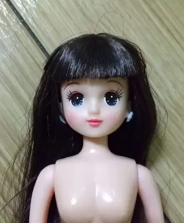 리카짱 캐슬 아키짱 오타노시미 인형