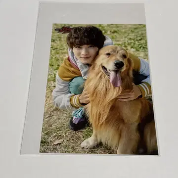 가면라이더 가브 캐릭터 북 브로마이드 쇼마