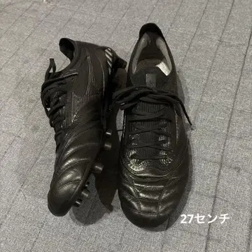 모레리아 네오 베타