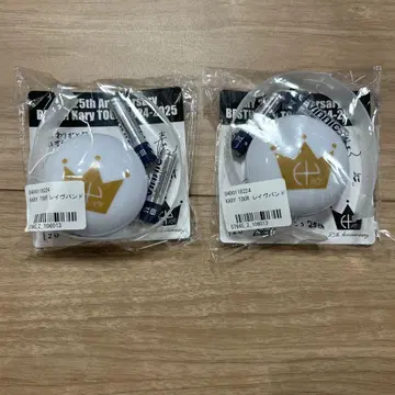 HY KARY TOUR 레이브 밴딩 투어 굿즈